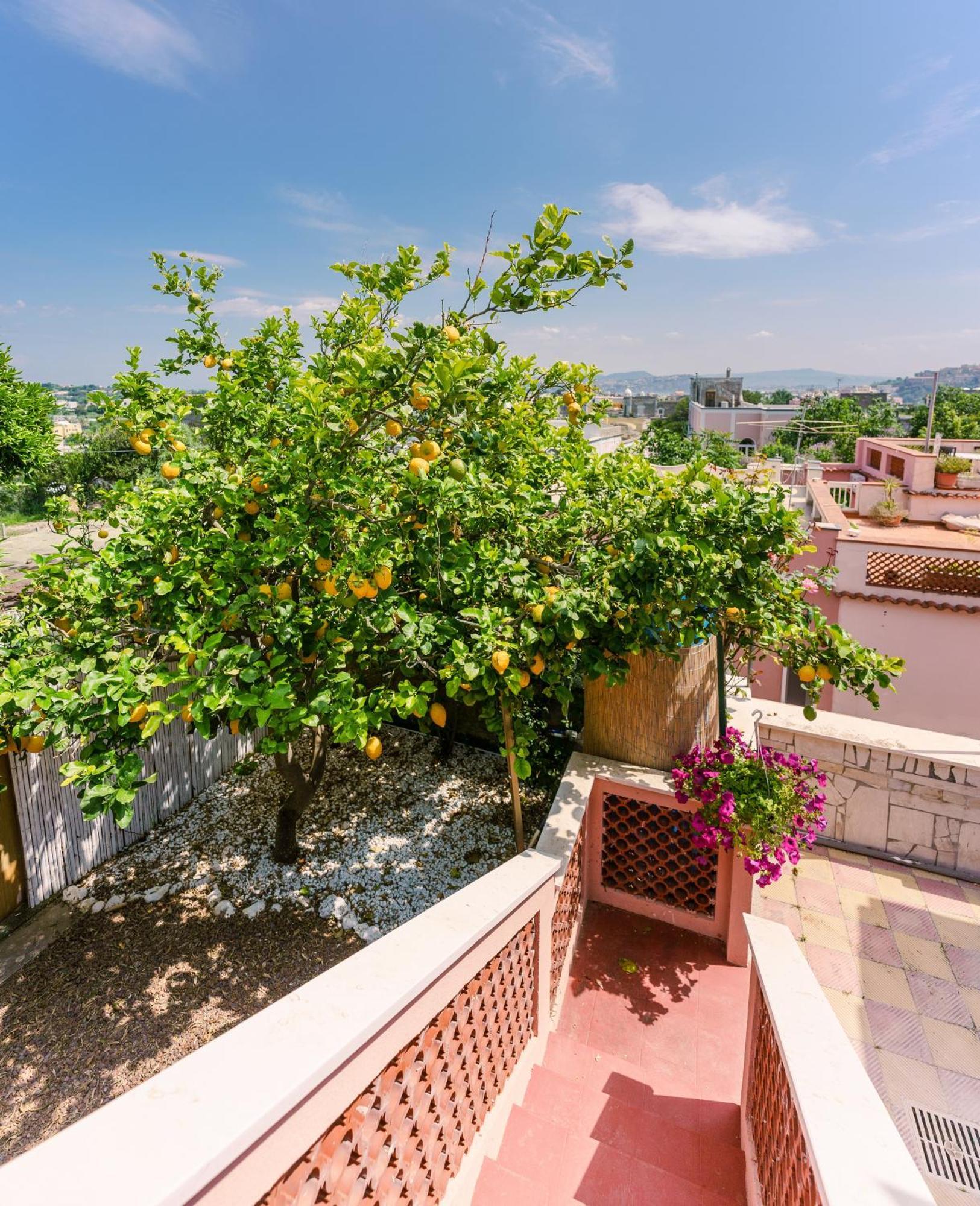 Le Jardin Bed and Breakfast Procida Esterno foto